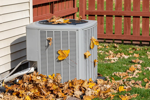 Best HVAC air duct cleaning  in Sarand, AL